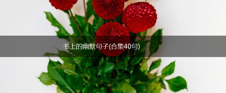 书上的幽默句子(合集40句),第1张