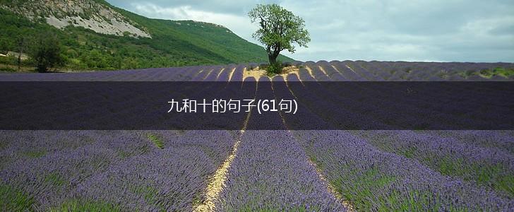 九和十的句子(61句),第1张