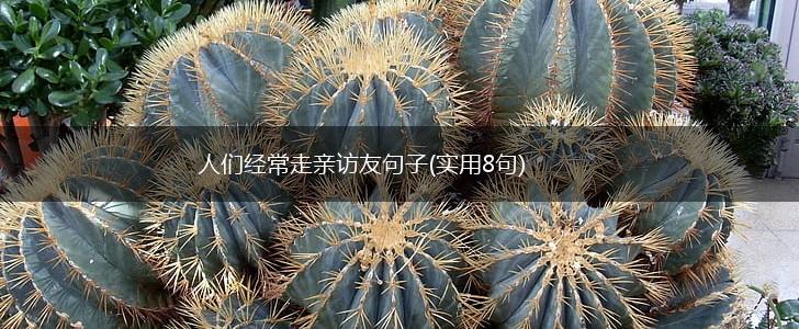人们经常走亲访友句子(实用8句),第1张