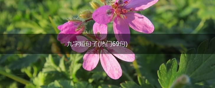 九字短句子(热门69句),第1张