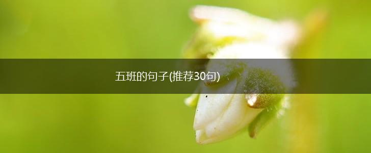 五班的句子(推荐30句),第1张