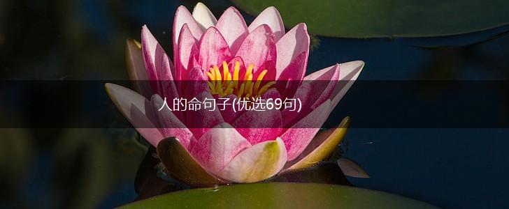 人的命句子(优选69句),第1张