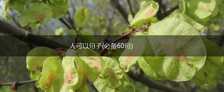 人可以句子(必备60句),第1张