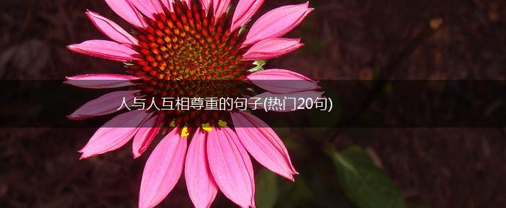 人与人互相尊重的句子(热门20句),第1张