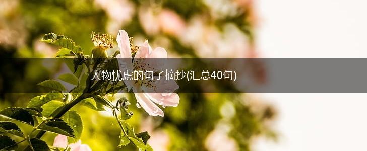 人物忧虑的句子摘抄(汇总40句),第1张