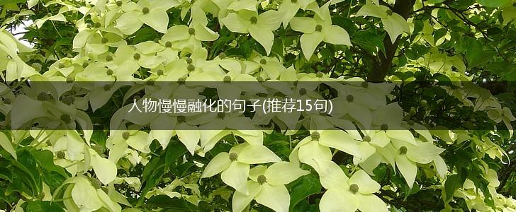 人物慢慢融化的句子(推荐15句),第1张