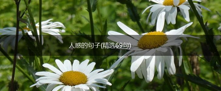 人惑的句子(精选69句),第1张