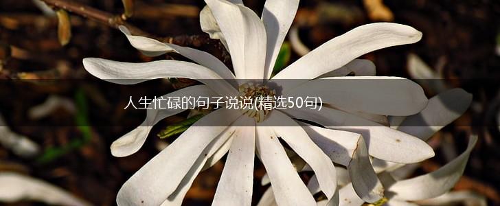 人生忙碌的句子说说(精选50句),第1张