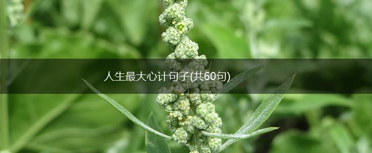 人生最大心计句子(共60句),第1张