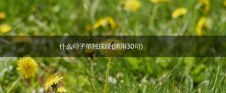 什么句子单独成段(通用30句),第1张