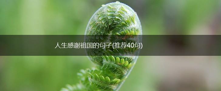 人生感谢祖国的句子(推荐40句),第1张