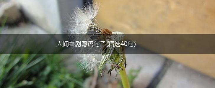 人间喜剧粤语句子(精选40句),第1张