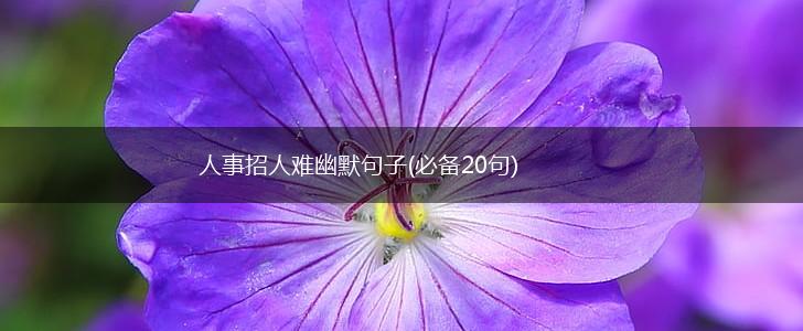 人事招人难幽默句子(必备20句),第1张