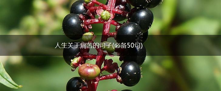 人生关于痛苦的句子(必备50句),第1张
