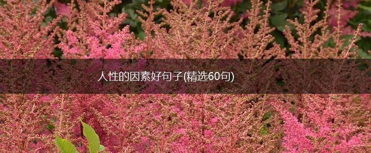 人性的因素好句子(精选60句),第1张