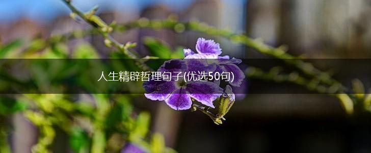 人生精辟哲理句子(优选50句),第1张