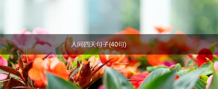 人间四天句子(40句),第1张