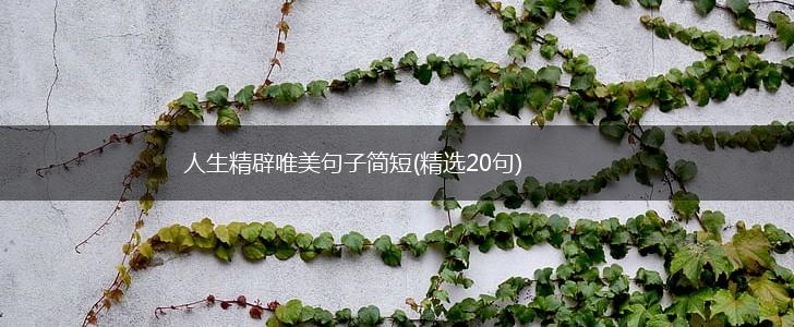 人生精辟唯美句子简短(精选20句),第1张