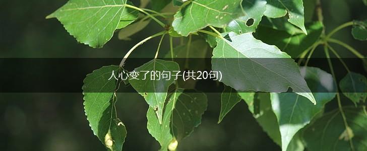 人心变了的句子(共20句),第1张