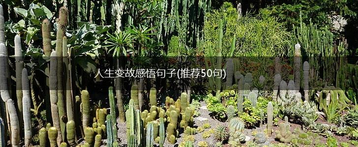 人生变故感悟句子(推荐50句),第1张
