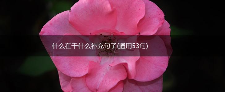 什么在干什么补充句子(通用53句),第1张
