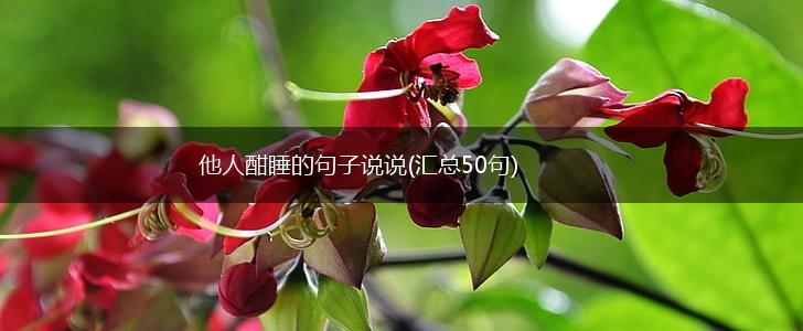 他人酣睡的句子说说(汇总50句),第1张
