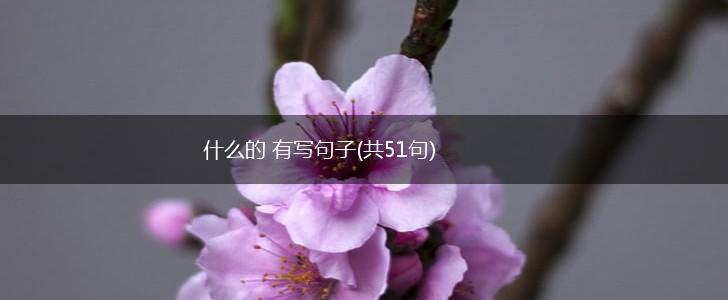 什么的 有写句子(共51句),第1张