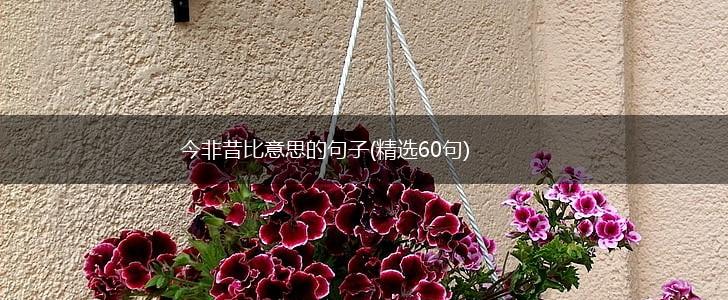 今非昔比意思的句子(精选60句),第1张