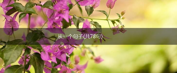从一个句子(共78句),第1张