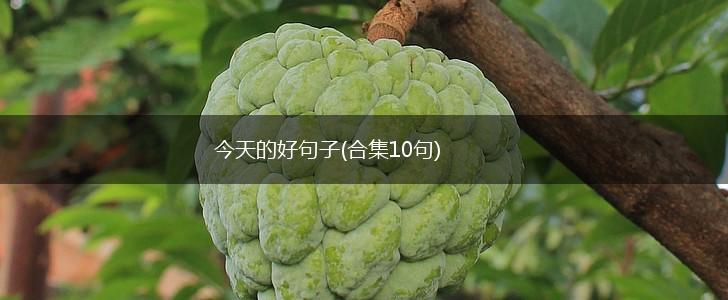 今天的好句子(合集10句),第1张