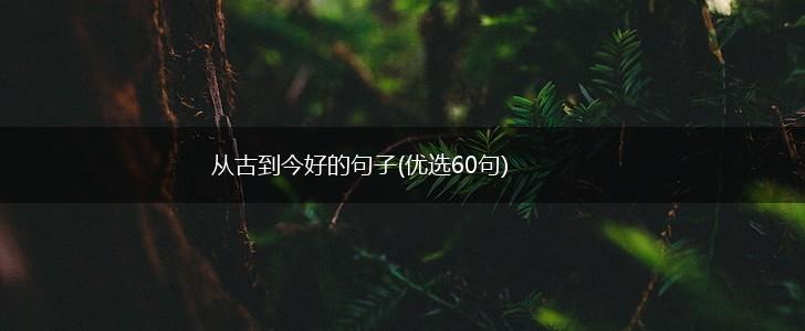 从古到今好的句子(优选60句),第1张