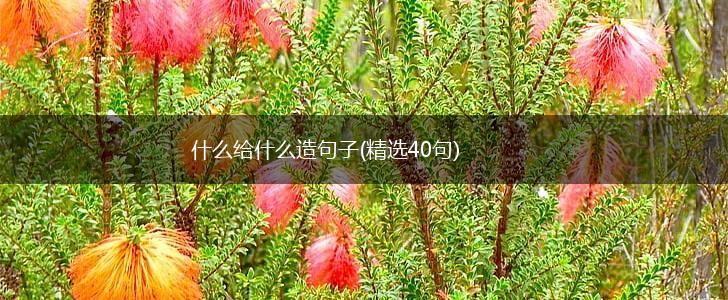什么给什么造句子(精选40句),第1张