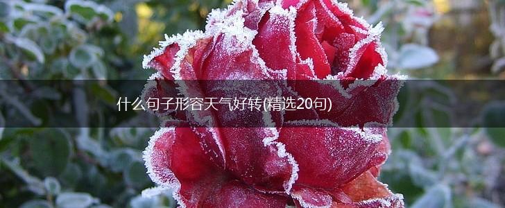 什么句子形容天气好转(精选20句),第1张