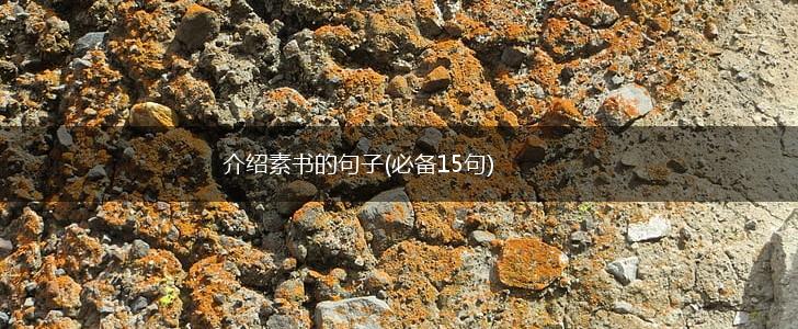 介绍素书的句子(必备15句),第1张