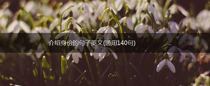 介绍身份的句子英文(通用140句),第1张