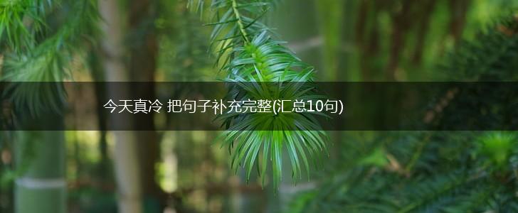 今天真冷 把句子补充完整(汇总10句),第1张