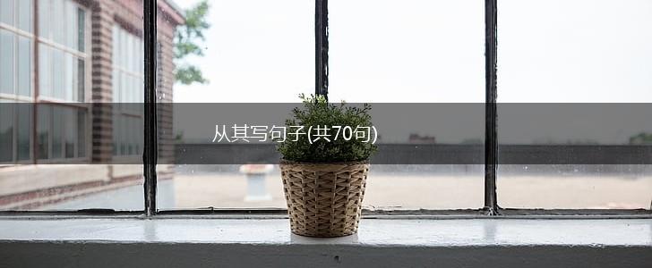 从其写句子(共70句),第1张