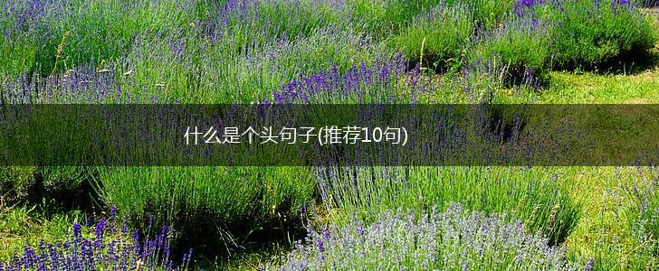 什么是个头句子(推荐10句),第1张