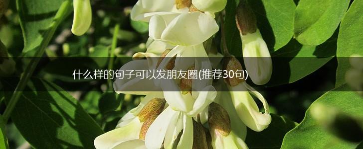 什么样的句子可以发朋友圈(推荐30句),第1张