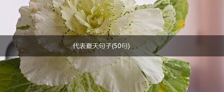 代表夏天句子(50句),第1张
