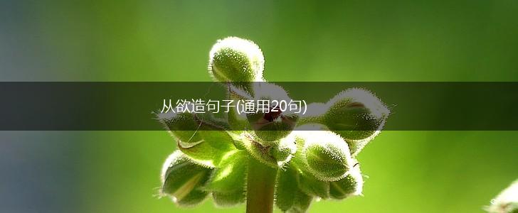 从欲造句子(通用20句),第1张