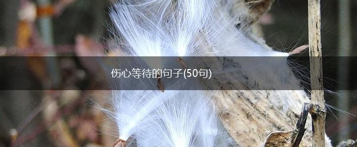 伤心等待的句子(50句),第1张