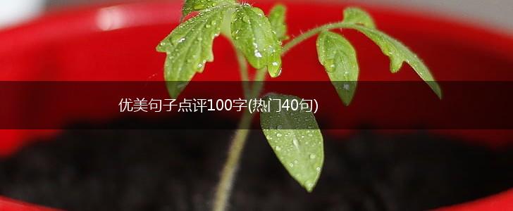 优美句子点评100字(热门40句),第1张