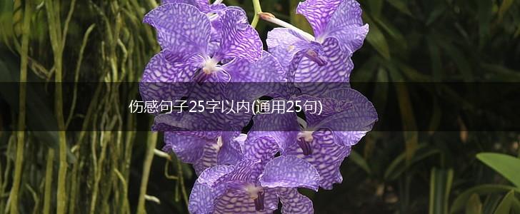 伤感句子25字以内(通用25句),第1张