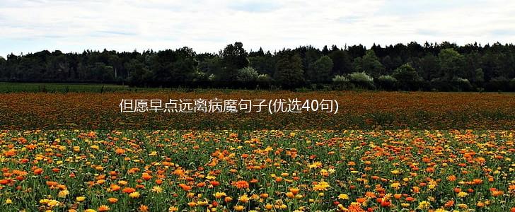 但愿早点远离病魔句子(优选40句),第1张