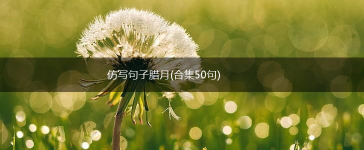 仿写句子腊月(合集50句),第1张