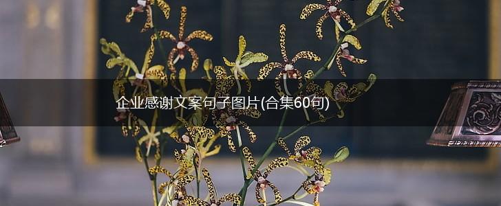 企业感谢文案句子图片(合集60句),第1张