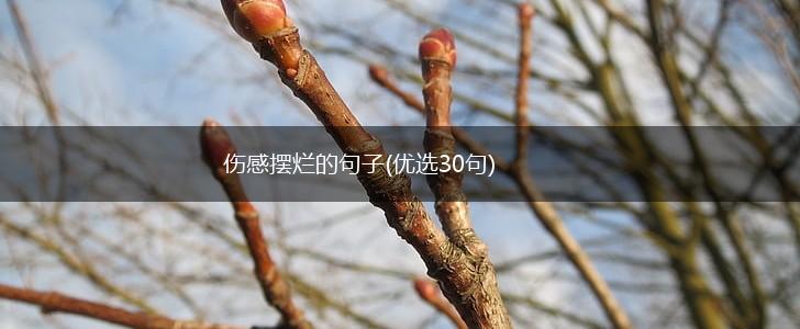 伤感摆烂的句子(优选30句),第1张