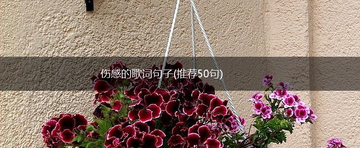 伤感的歌词句子(推荐50句),第1张