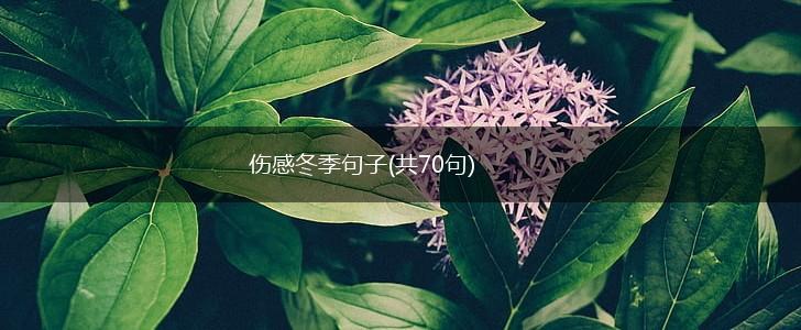 伤感冬季句子(共70句),第1张